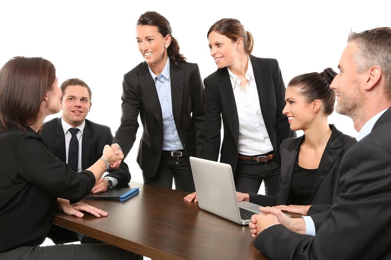 Meet the Team